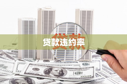 紫金贷款违约率