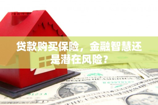 紫金贷款购买保险，金融智慧还是潜在风险？