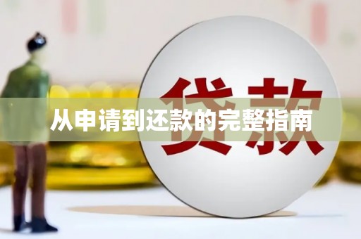 紫金从申请到还款的完整指南