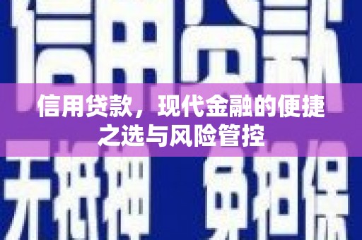 紫金信用贷款，现代金融的便捷之选与风险管控