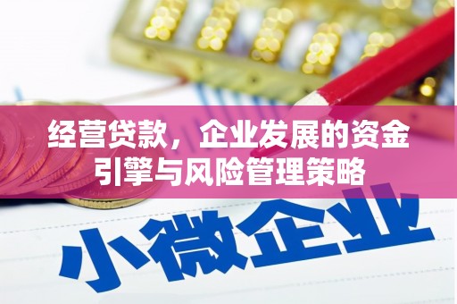 紫金经营贷款，企业发展的资金引擎与风险管理策略