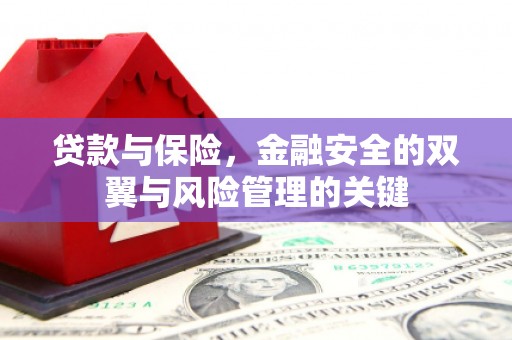 紫金贷款与保险，金融安全的双翼与风险管理的关键