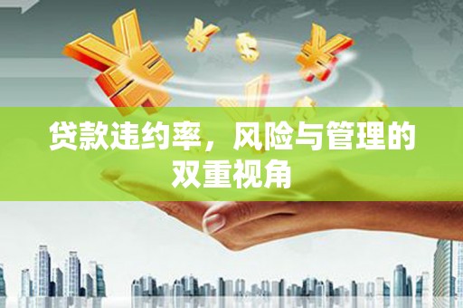 紫金贷款违约率，风险与管理的双重视角
