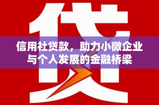 紫金信用社贷款，助力小微企业与个人发展的金融桥梁