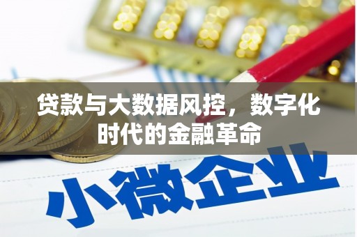 紫金贷款与大数据风控，数字化时代的金融革命