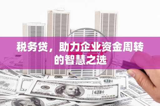 紫金税务贷，助力企业资金周转的智慧之选