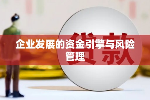 紫金企业发展的资金引擎与风险管理
