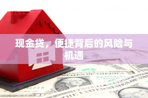 紫金现金贷，便捷背后的风险与机遇