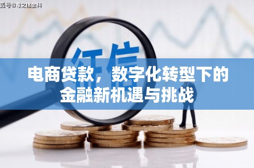 紫金电商贷款，数字化转型下的金融新机遇与挑战