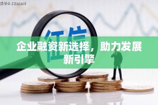 紫金企业融资新选择，助力发展新引擎