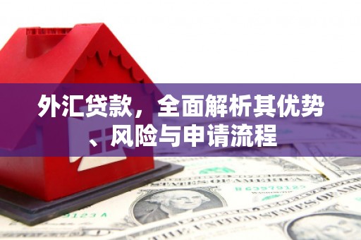紫金外汇贷款，全面解析其优势、风险与申请流程