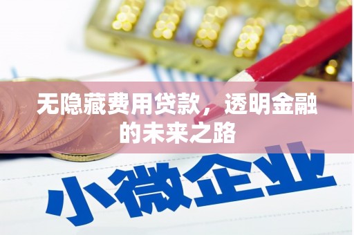 紫金无隐藏费用贷款，透明金融的未来之路