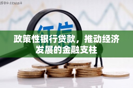 紫金政策性银行贷款，推动经济发展的金融支柱