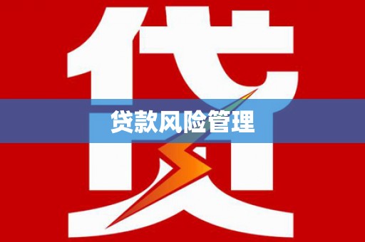 紫金贷款风险管理