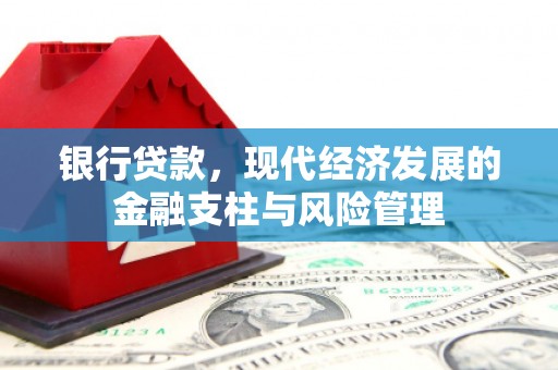 紫金银行贷款，现代经济发展的金融支柱与风险管理