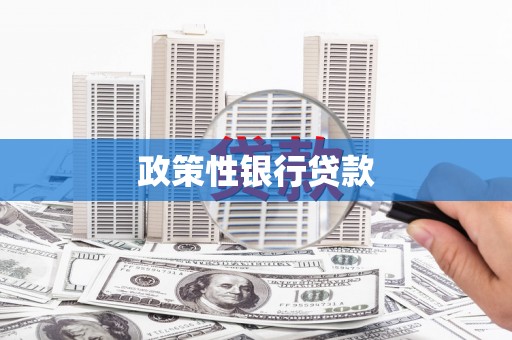 紫金政策性银行贷款