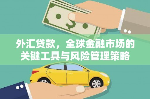 紫金外汇贷款，全球金融市场的关键工具与风险管理策略