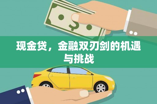 紫金现金贷，金融双刃剑的机遇与挑战