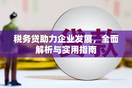 紫金税务贷助力企业发展，全面解析与实用指南