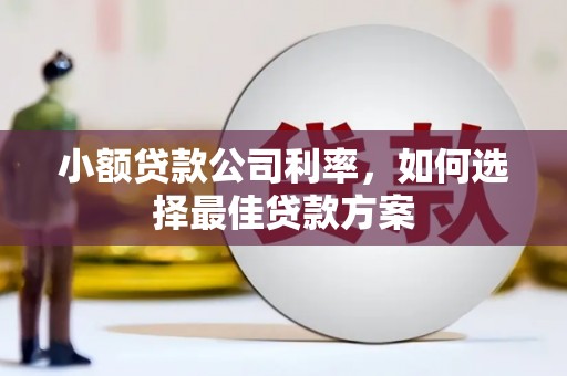 紫金小额贷款公司利率，如何选择最佳贷款方案