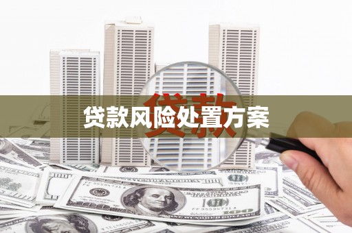 紫金贷款风险处置方案