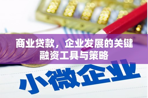 紫金商业贷款，企业发展的关键融资工具与策略