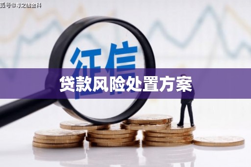 紫金贷款风险处置方案