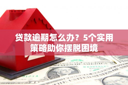 紫金贷款逾期怎么办？5个实用策略助你摆脱困境