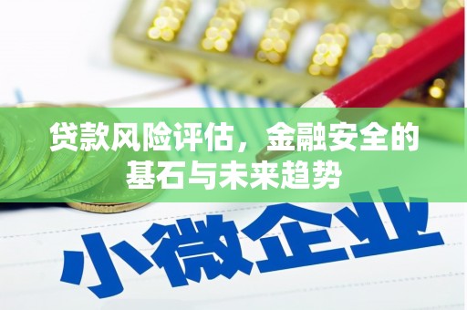 紫金贷款风险评估，金融安全的基石与未来趋势