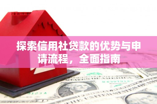 紫金探索信用社贷款的优势与申请流程，全面指南