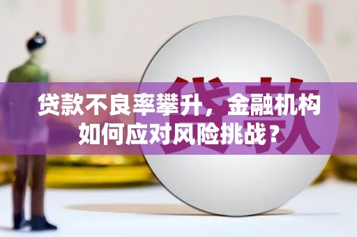 紫金贷款不良率攀升，金融机构如何应对风险挑战？