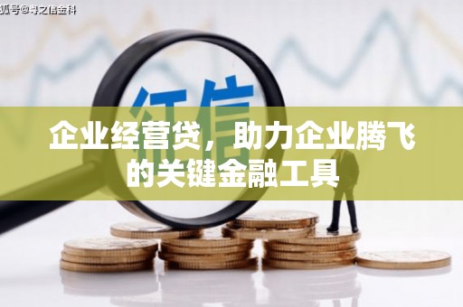 紫金企业经营贷，助力企业腾飞的关键金融工具