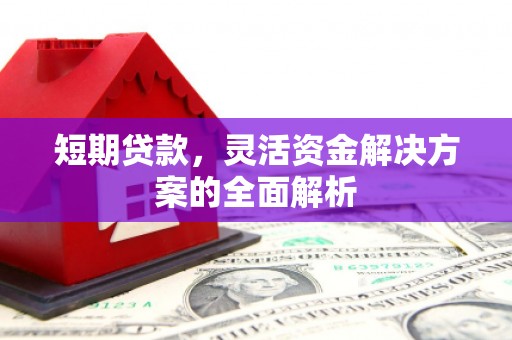 紫金短期贷款，灵活资金解决方案的全面解析