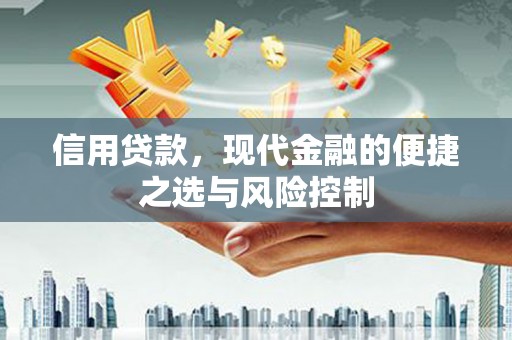 紫金信用贷款，现代金融的便捷之选与风险控制