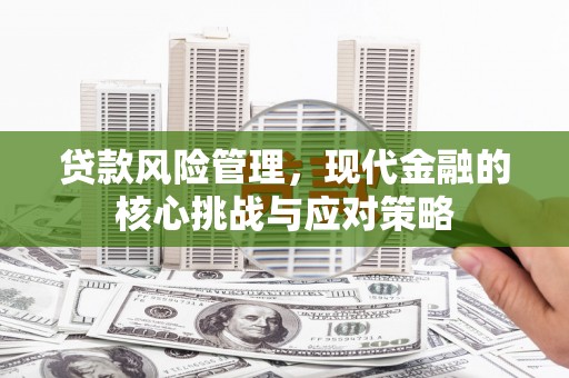 紫金贷款风险管理，现代金融的核心挑战与应对策略