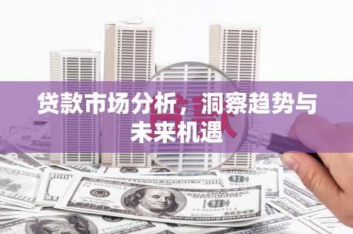 紫金贷款市场分析，洞察趋势与未来机遇