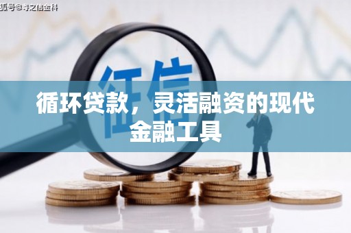 紫金循环贷款，灵活融资的现代金融工具