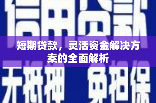 紫金短期贷款，灵活资金解决方案的全面解析