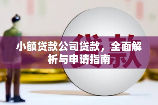 紫金小额贷款公司贷款，全面解析与申请指南
