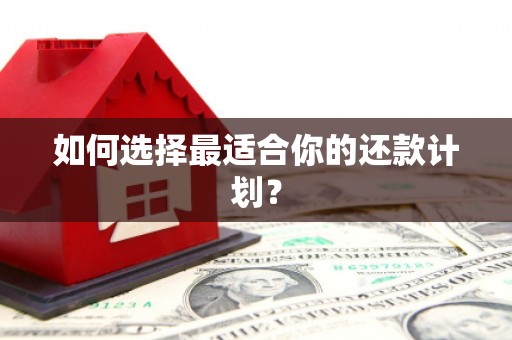 紫金如何选择最适合你的还款计划？