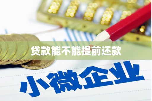 紫金贷款能不能提前还款