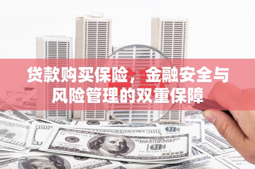 紫金贷款购买保险，金融安全与风险管理的双重保障
