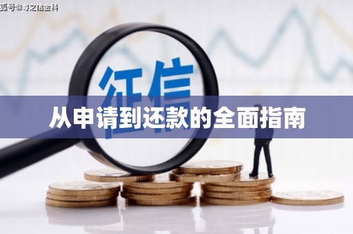 紫金从申请到还款的全面指南
