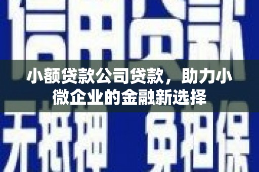 紫金小额贷款公司贷款，助力小微企业的金融新选择