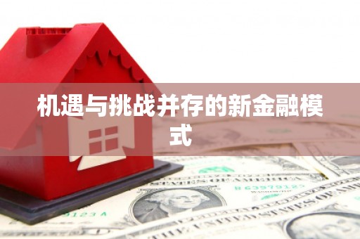 紫金机遇与挑战并存的新金融模式
