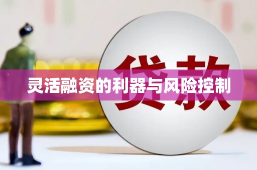紫金灵活融资的利器与风险控制