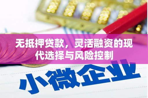 紫金无抵押贷款，灵活融资的现代选择与风险控制
