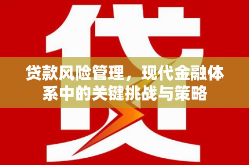 紫金贷款风险管理，现代金融体系中的关键挑战与策略