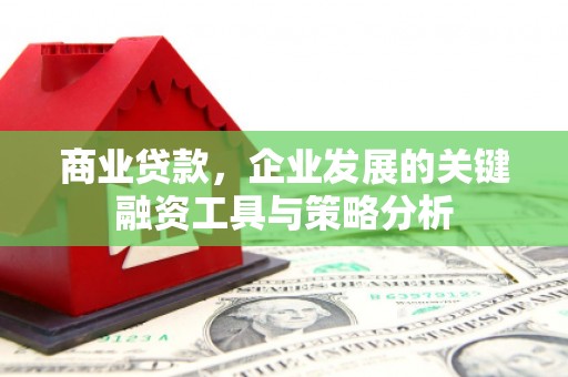 紫金商业贷款，企业发展的关键融资工具与策略分析