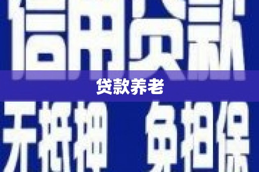 紫金贷款养老